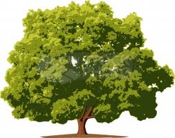 ��؂𔰍̂��A�������܂��B